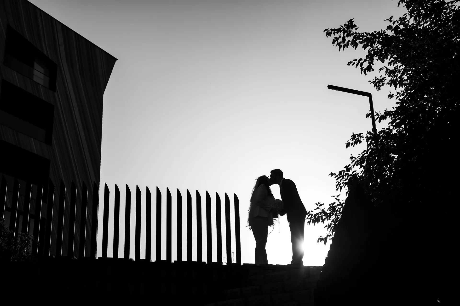 sense-wedding-street-tehran-138